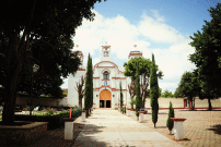 parroquia santa maria ayoquezco de aldama