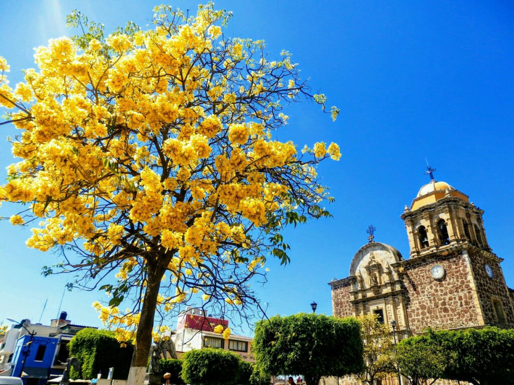 parroquia santiago apostol tequila jalisco